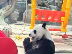 -武汉动物园