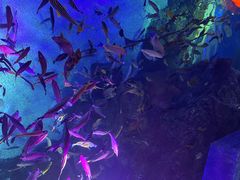 -沈阳海洋探索中心