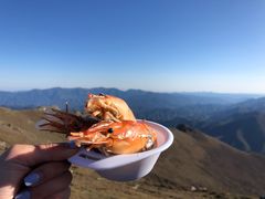 -灵山