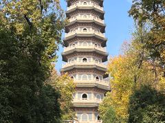 -灵谷景区