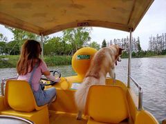 -上海长兴岛郊野公园