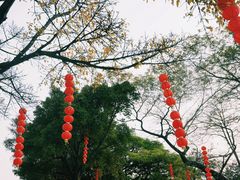 -中山公园