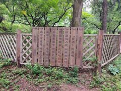 -香山公园