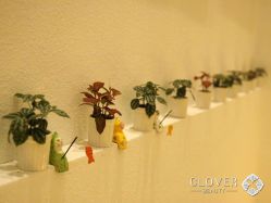 -Clover Beauty四葉美睫