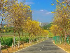 -光明小镇欢乐田园