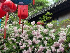 -芥子园