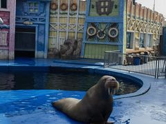 -华夏文旅海洋公园