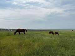 -呼和诺尔旅游景区