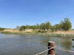 -马家湾湿地公园