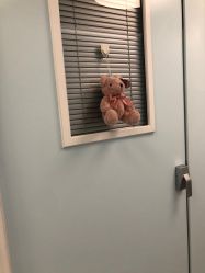 -杭州贝瑞斯美华妇儿医院·早孕·产检·儿科