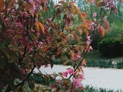 -元大都城垣遗址公园