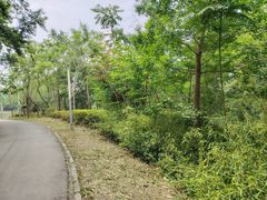 -三圣花乡旅游区