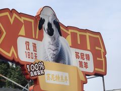 -侠舍·江湖烤全羊·大排档(沌口总店)