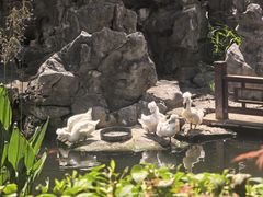 -南京市民俗博物馆(甘熙故居)