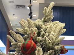 -海马体照相馆(大连柏威年购物中心店)