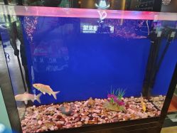 -尚逸男士理发馆·专注男发