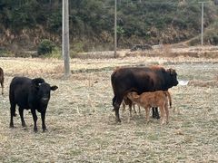 -广州科技贸易职业学院