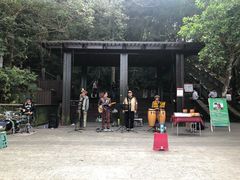 -金盆阿嬷香菇茶叶蛋(玄光店)