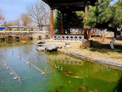 -三里河公园