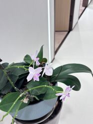 -幼泡泡连锁美容医疗
