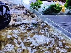 -聚盛源蒸汽海鲜火锅烤肉自助(巨川金海岸购物广场店)