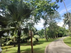-中国科学院西双版纳热带植物园