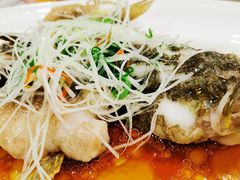 -老洋房花园饭店(绍兴路店)