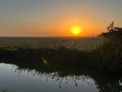 -鄱阳湖国家湿地公园