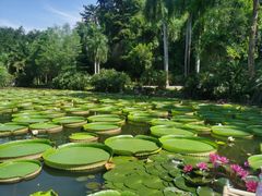 -中国科学院西双版纳热带植物园