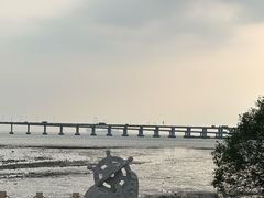 -宝安西湾红树林湿地公园