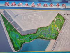 -鹦鹉洲湿地公园