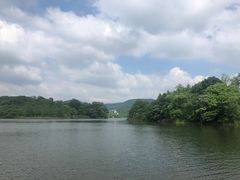 -佛手湖郊野公园