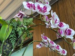 -上海虹桥西郊假日酒店