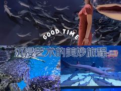 -烟台海昌鲸鲨海洋公园