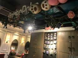 点击看大图 -金棕榈