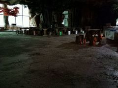 -鄂尔多斯野生动物园