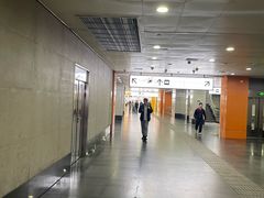 -上海长途客运南站