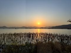 -湖畔居茶楼(湖滨店)