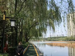 -洛阳市隋唐城遗址植物园