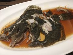 -张生记(丁香国际店)
