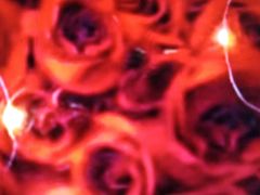 -飞奇儿体能体操馆(和平印象城店)