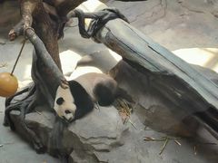 -宁波野生动物园