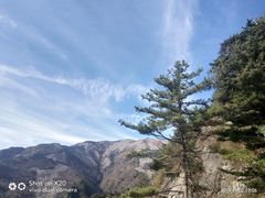 景点-朱雀国家森林公园