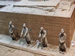 -秦始皇帝陵博物院-丽山园