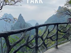 -张家界天门山国家森林公园