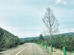 -莫尔道嘎国家森林公园