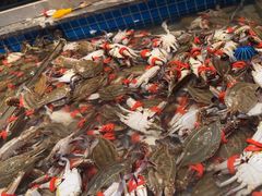 -一方渔歌蒸汽海鲜自助(文化路万达广场店)