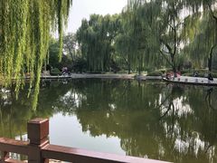 -玲珑塔公园