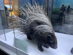 -国家自然博物馆