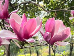 -晓港公园